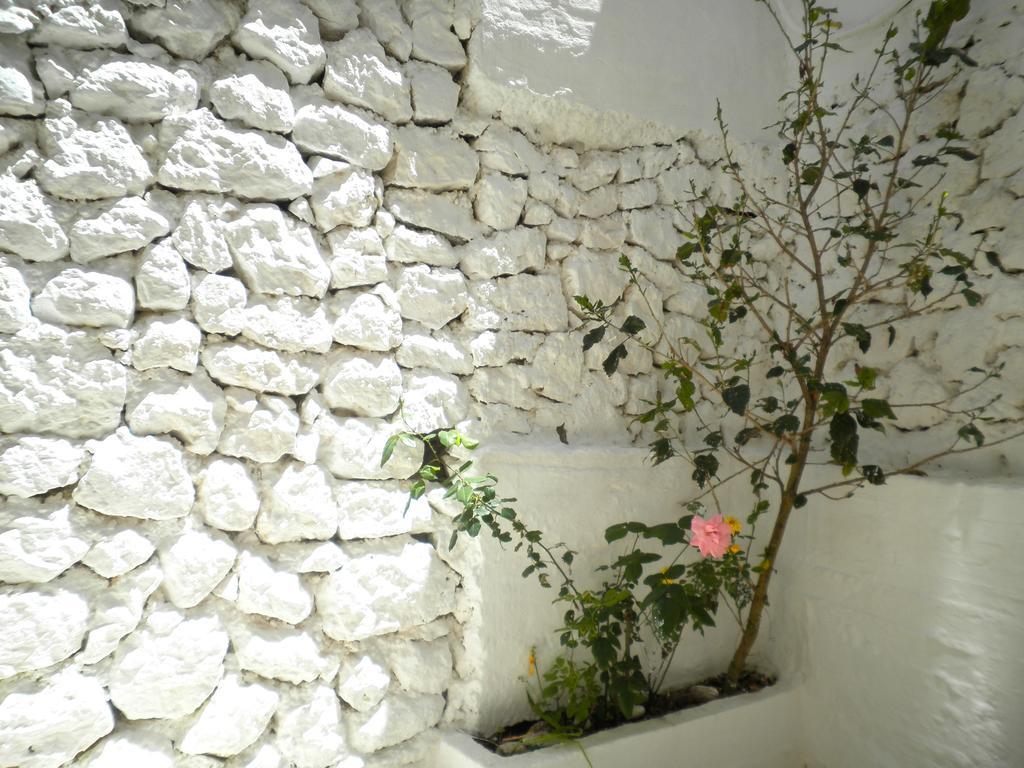 Kostas Studios II Vasilikí Exterior photo